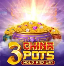 3 China Pots